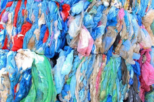 Transform_CE tweet media