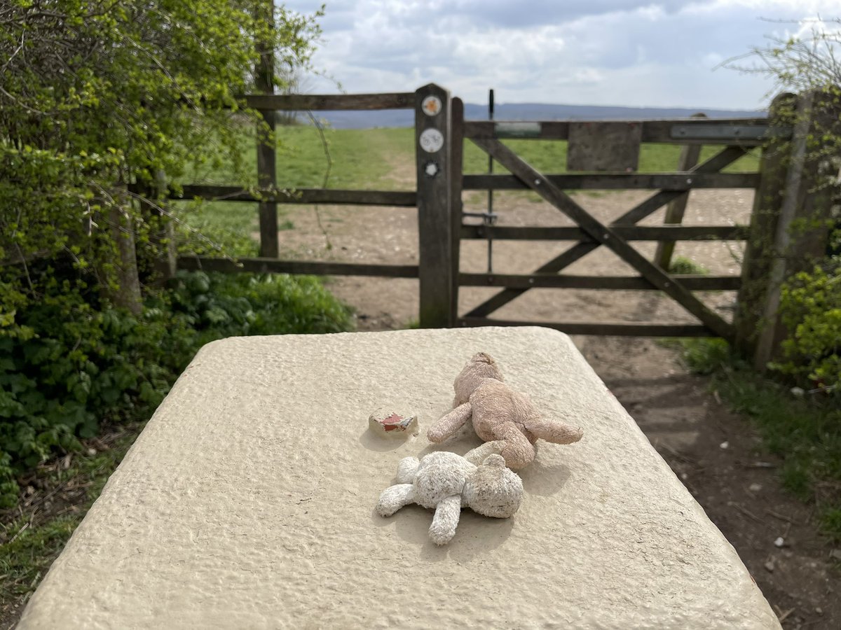 ruth_lampard's tweet photo. Friends waiting for their bestie
on #RanmoreCommon
#missing #Teddy #Lost #TeddyBear
#SurreyHills https://t.co/kYsA7GTJ8s
