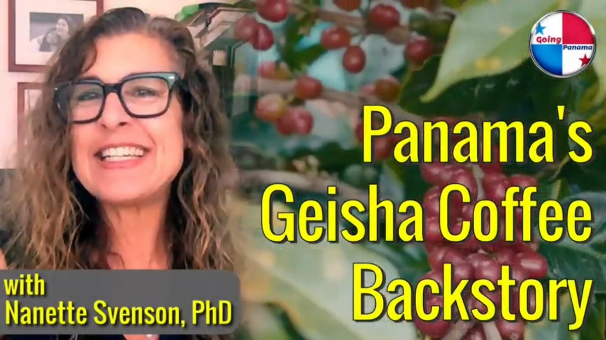 GoingPanama's tweet photo. Higher Grounds' movie writer, Nanette Svenson, shares the backstory of the world's most expensive coffee. Panama's Geisha variety. 
@TurismoPTY @ATP_panama @promtur_panama @IvanEskildsen @AFOTUR @meetingspanama #Panama 

Watch:
https://t.co/Sh5VUzPGkK https://t.co/U20sK9ggCH