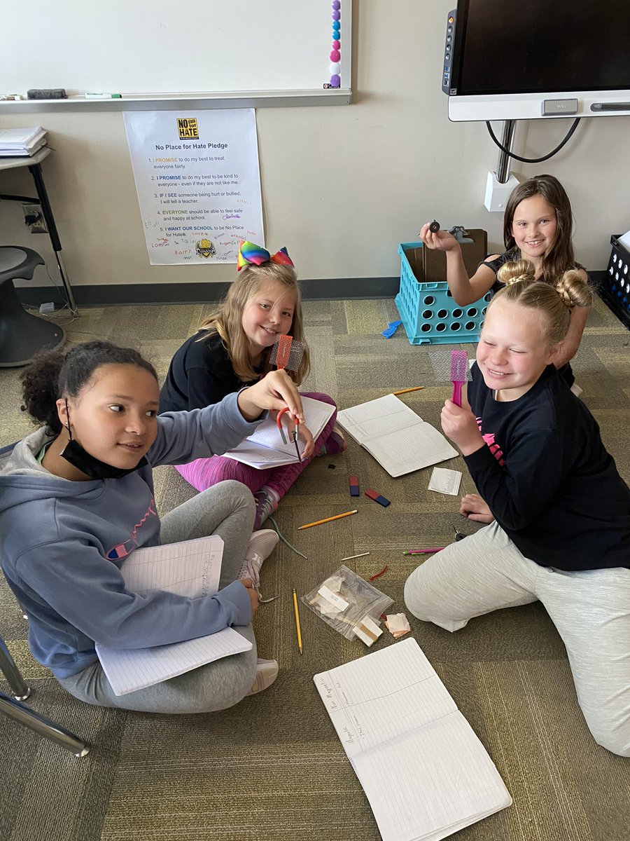 Erica Joefreda tweet media