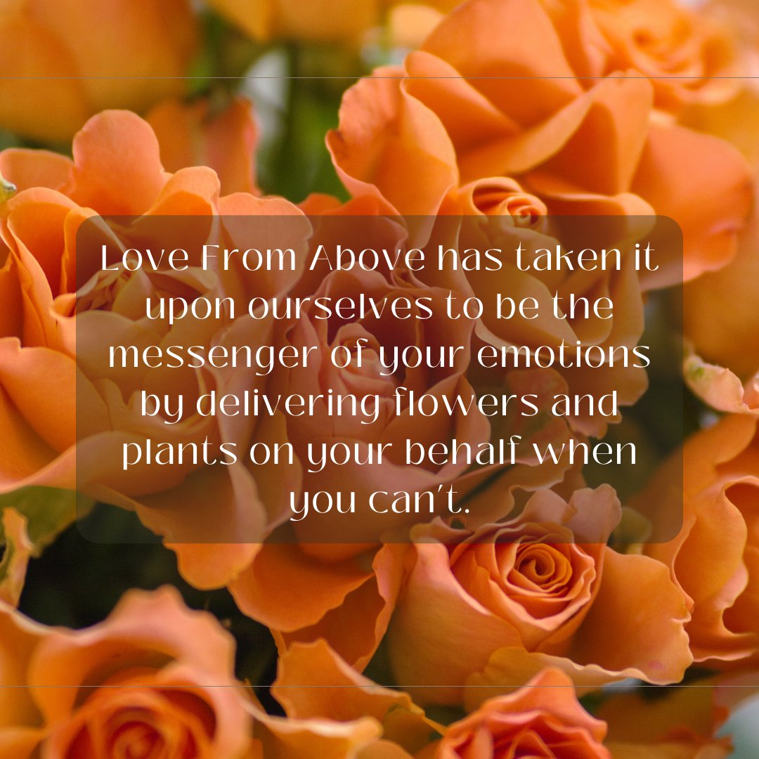 LoveFromAbove22's tweet photo. Love From Above has taken it upon ourselves to be the messenger of your emotions by delivering flowers and plants on your behalf when you can't. https://t.co/7s6gDI6Iqs