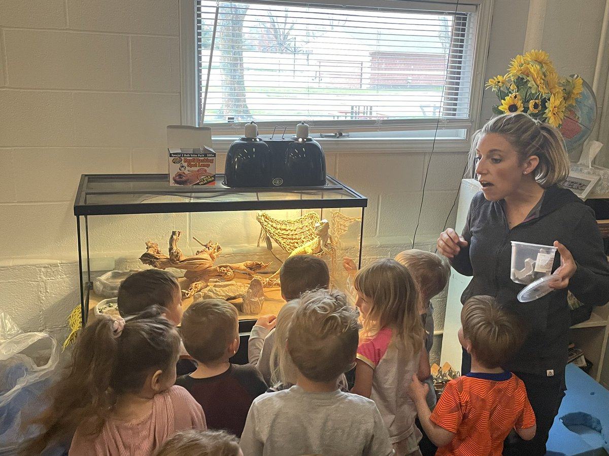 EllisElementary's tweet photo. Thx @JenOberlander for inviting the PK kiddos in for Bowzer’s feeding time‼️ @JillMead11 https://t.co/TY780IdxHR