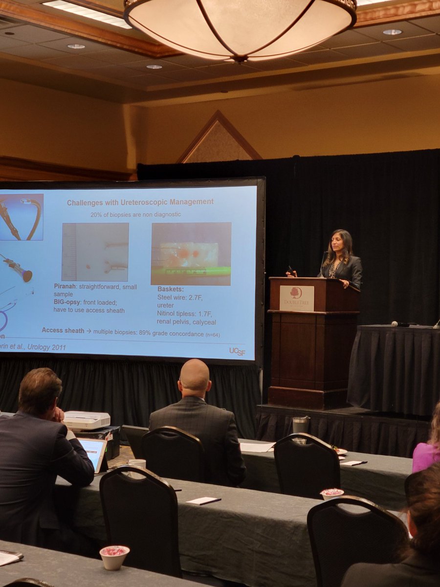 Brian_J_Flynn's tweet photo. Day 1 of #RMUS2022
Urologic Oncology day
RMUS president @MaroniPa making opening remarks followed by
Invited speaker Sima P. Porten, M.D. from UCSF discussing upper tract urothelial carcinoma https://t.co/9PReGc2Gou