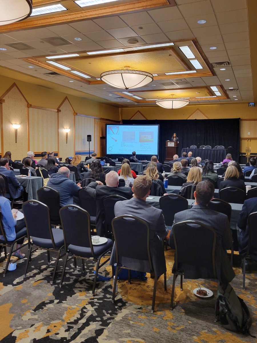 Brian_J_Flynn's tweet photo. Day 1 of #RMUS2022
Urologic Oncology day
RMUS president @MaroniPa making opening remarks followed by
Invited speaker Sima P. Porten, M.D. from UCSF discussing upper tract urothelial carcinoma https://t.co/9PReGc2Gou