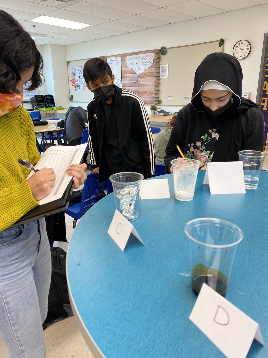 EtmanskieTrina's tweet photo. 710 rocked this morningโs activity! They explored, identified, and classified these pure substances and mixtures. The only two that stumped them were Baking Powder and Baking Soda! ๐๐งช๐ฌ #Science #Exploration #Collaboration #ocsbfun @StFXOCSB https://t.co/u1KoVuNg6y