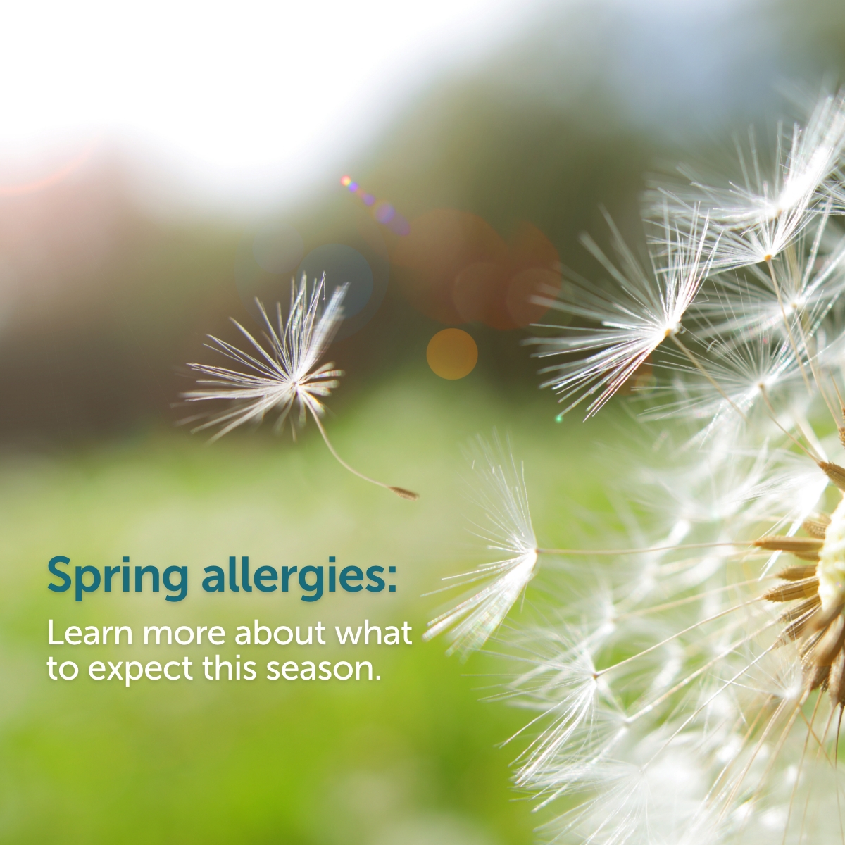 Are you someone who suffers from spring allergies? Check out our blog to learn more about what to expect this season: bit.ly/3M7PmTx #SpringAllergies #AllergySeason