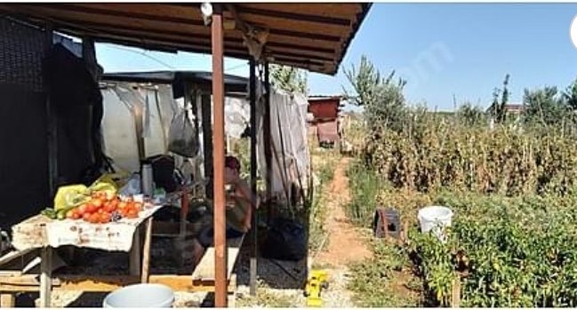 YorgunNur07's tweet photo. @ozanozturk_tr Toprağa dokunma hakkımızı barakalarımızı yıkarak elimizden almayın,ihtiyaçlarımızı gidermek malzemelerimizi muhafaza etmemiz için buralar bizim için değerli,ekonomik krizde belimizi birde siz bükmeyin .ÇÖZÜM BEKLİYORUZ.  #HobiBahceleriYıkılmasın https://t.co/ogtPX00ItW