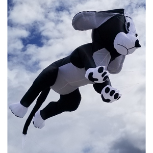 solanolandtrust's tweet photo. We're a month away from May 7th's Lynch Canyon Kite Festival, so it's time to give Rover, Bowser, and Fido some tough news.
Because of cattle, unique wildlife, and other factors, dogs are NOT PERMITED at Lynch Canyon, even during the event. 
(Dog-shaped kites are fine.) https://t.co/OT27qcDSUs