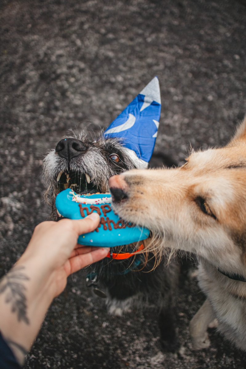 Sully, Quest & Arla tweet media