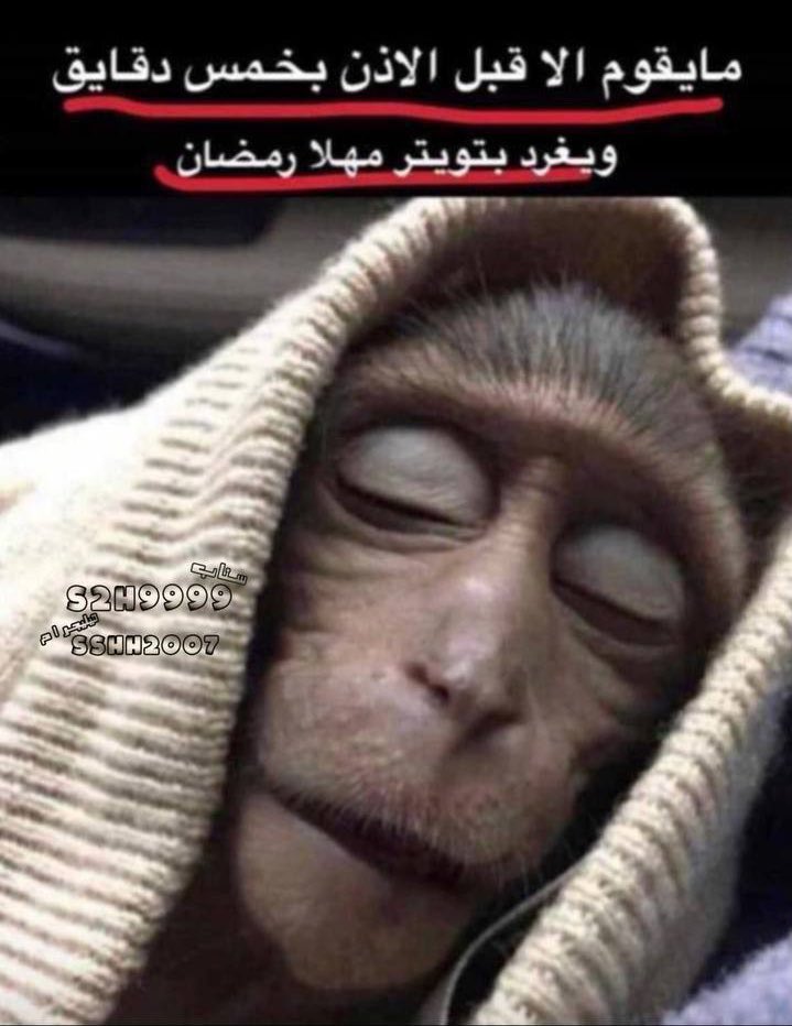 🇰🇼 عبدالرحمن التركيت (@a_alterkait1) on Twitter photo 