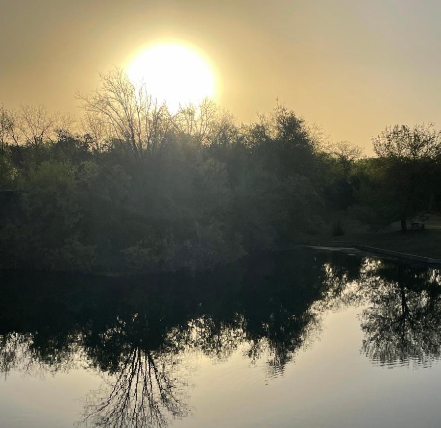 SecondChanceATX's tweet photo. Good Morning everyone. In recovery we can enjoy the little things again, such as, a sunrise on the lake. Let’s see your pictures of the “little things”.

#soberlivingATX #beautifuilworld #soberlife #secondchancesATX #recoveryATX #picturesinrecovery #soberpictures #GODisGOOD https://t.co/EVU41CQ2xP