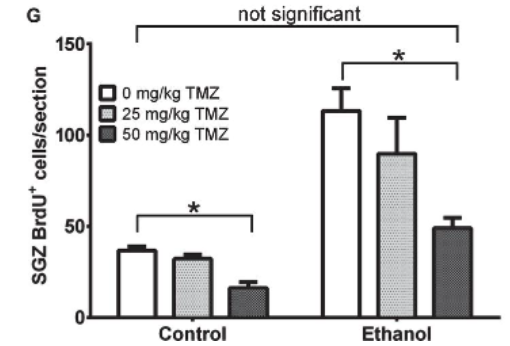Brain Plasticity tweet media