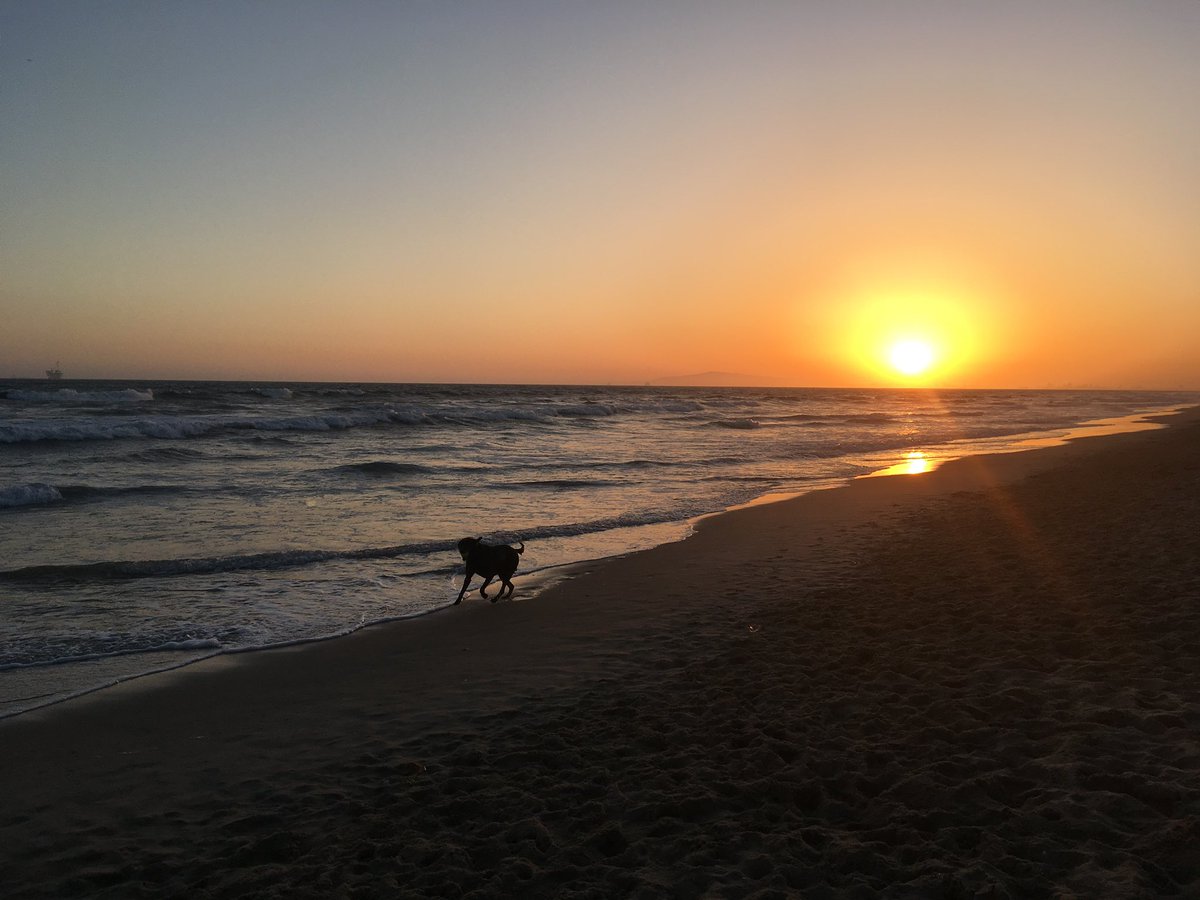 enjoytravel_kra's tweet image. Glad to be joining #FlashbackFridayz today and the subject of #water 
- #flowriding on @RoyalCaribbean 
- #Santorini #Greece 
- Dog Beach #HuntingtonBeach 
- #NewZealand 
Tagging hosts:
@TravelBugsWorld @Adventuringgal @jenny_travels @Chalkcheese111 @FitLifeTravel