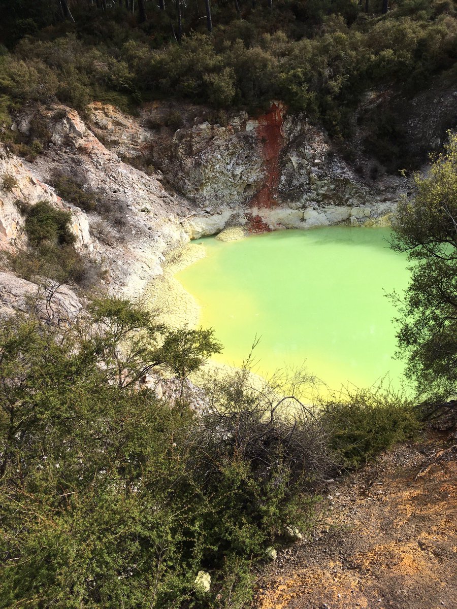 enjoytravel_kra's tweet image. Glad to be joining #FlashbackFridayz today and the subject of #water 
- #flowriding on @RoyalCaribbean 
- #Santorini #Greece 
- Dog Beach #HuntingtonBeach 
- #NewZealand 
Tagging hosts:
@TravelBugsWorld @Adventuringgal @jenny_travels @Chalkcheese111 @FitLifeTravel