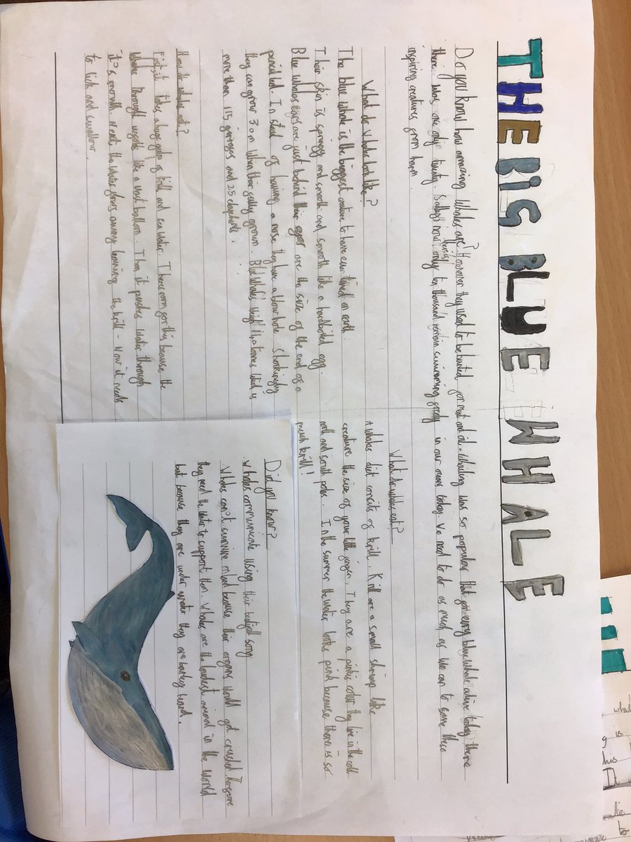 Well done Year 3 on completing your wonderful whale posters! We have loved our studies of the blue whale this half term. We hope you feel just as amazed at these fascinating mammals when reading our wonderful writing <a href="/Y3gaytonprimary/">Gayton Primary</a> <a href="/TheLCUK/">The Literacy Company</a>