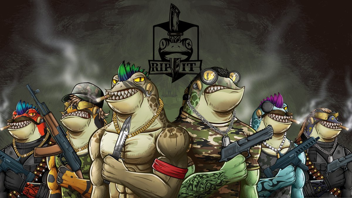 KillahFrogs's tweet photo. Jigsaw challenge completed. Congratz to the winners and thank you all for participating, t'was fun!

The time has come to reveal our badass team 👇🏻
Join our Discord and get to know them 💚
#SolanaNFT #NFTdrop #RIP_IT https://t.co/Eoqm1m2K3Z