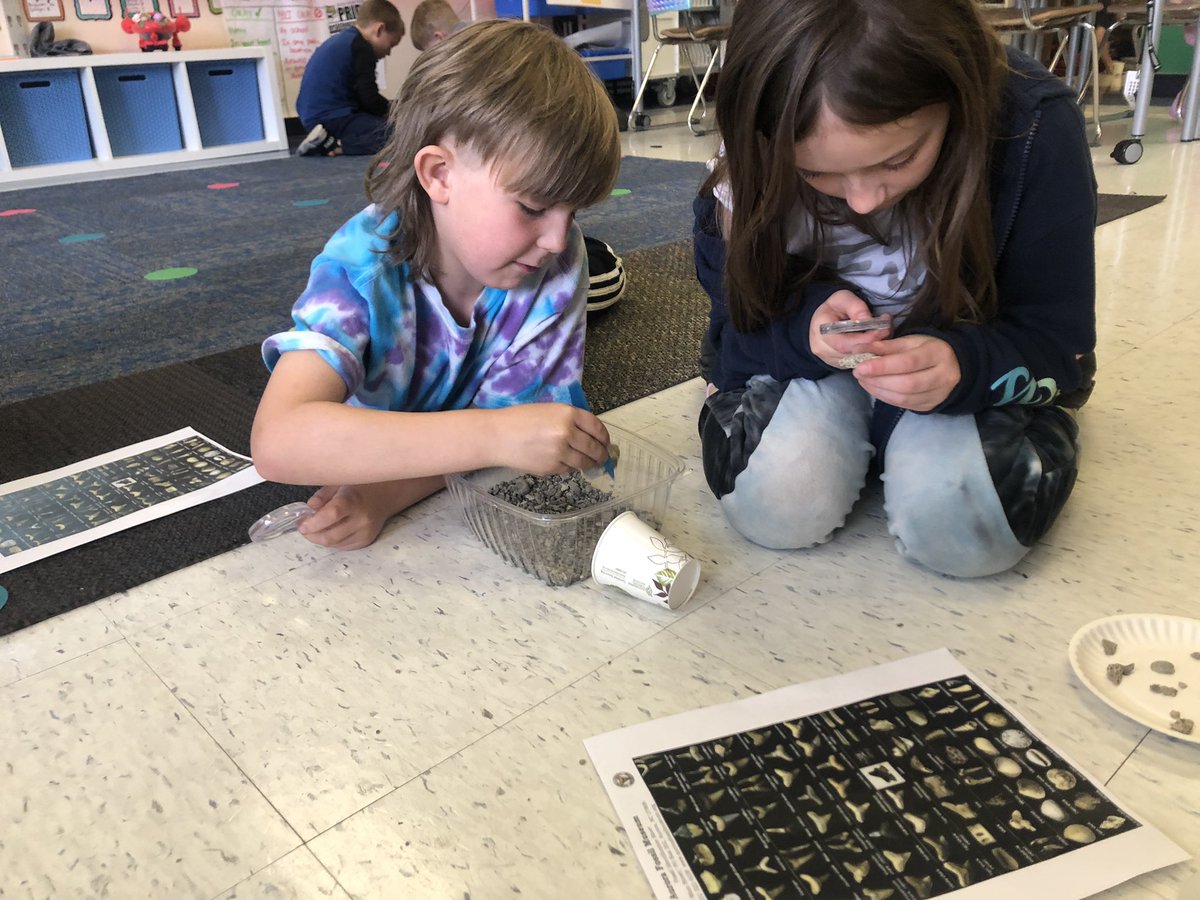 warrenfirst1's tweet photo. We had the BEST TIME EVER this morning digging for fossils! All thanks  go to @AuroraFossilMus for sending us a box full of dirt with a large variety of fossils to discover! 🔎 Stay tuned to see our findings in our very own fossil museum! 🤩
@LcscSuper @Lebanon_Schools https://t.co/zTDcfhMwLX