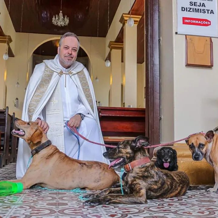 Goodable's tweet photo. This is father João Paulo Araujo Gomes 

In Brasil, he takes abandoned dogs off the streets, feeds them, cleans them, and gives them shelter.

Then, he presents them at Mass to help them get adopted.

Dozens of dogs have already found their forever home thanks to him.

🇧🇷❤️ https://t.co/6rSo2s5wLc