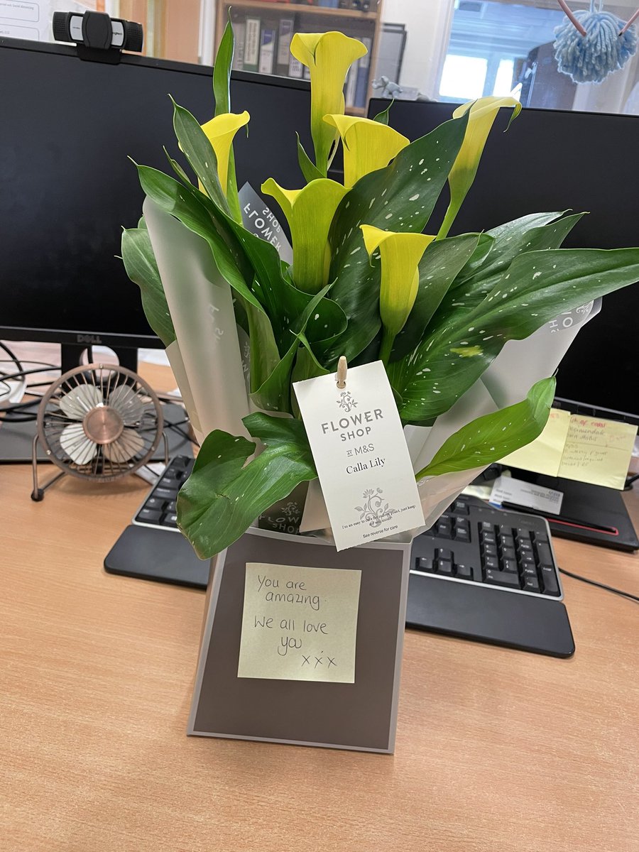 It’s been a rough week. Thank you to my lovely team for these 💛