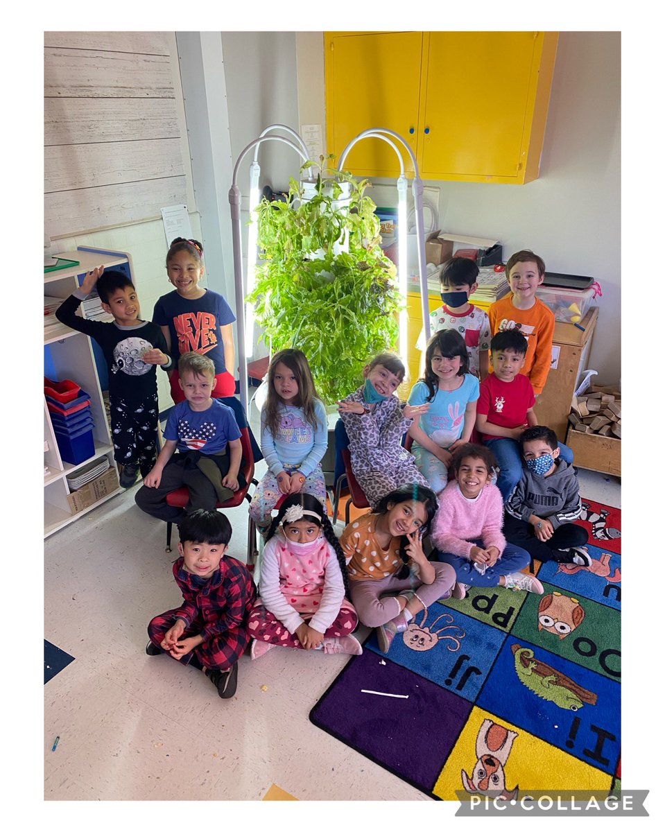 Jill Guevarez (@jillig80) on Twitter photo Look what we did! #WEEgrewlettuce #hydroponics
<a href="/WeehawkenTSD/">Weehawken Schools</a> <a href="/EricCrespoEDU/">Eric Crespo</a> <a href="/MrsTralongo/">MrsTralongo</a> <a href="/bcalligy/">Brian Calligy</a> <a href="/McginleyIsabel/">Isabel McGinley</a> Look what we did! #WEEgrewlettuce #hydroponics
<a href="/WeehawkenTSD/">Weehawken Schools</a> <a href="/EricCrespoEDU/">Eric Crespo</a> <a href="/MrsTralongo/">MrsTralongo</a> <a href="/bcalligy/">Brian Calligy</a> <a href="/McginleyIsabel/">Isabel McGinley</a>