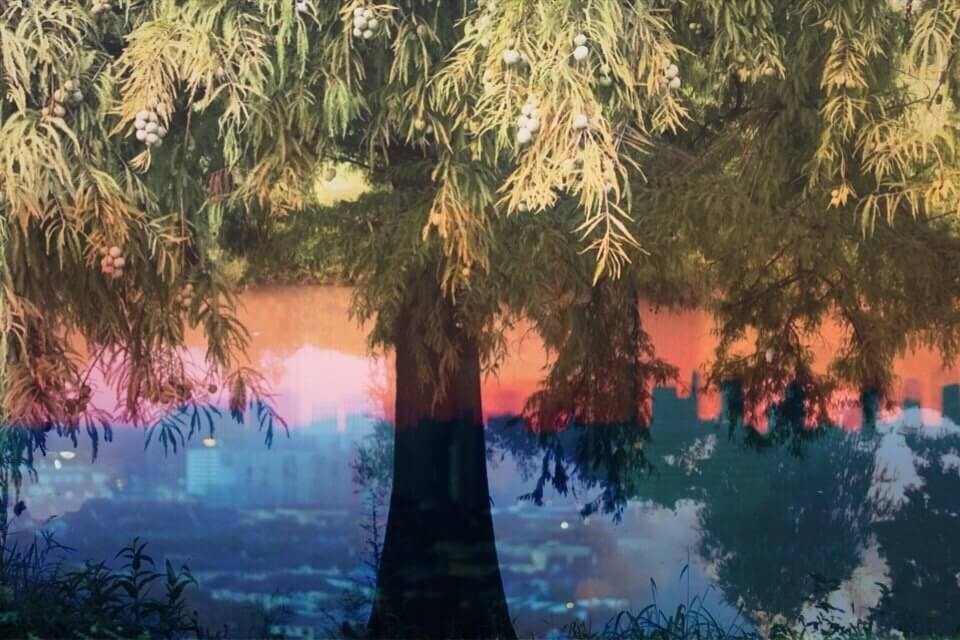 SOLDesign_Col's tweet image. ONLINE GALLERY// Absolutely LOVE this photo by our Online Gallery member @sarahketelaars! Her talent truly never ceases to amaze us. See more of her work and the work of our other Online Gallery Members here soldesigncollective.com/gallery/