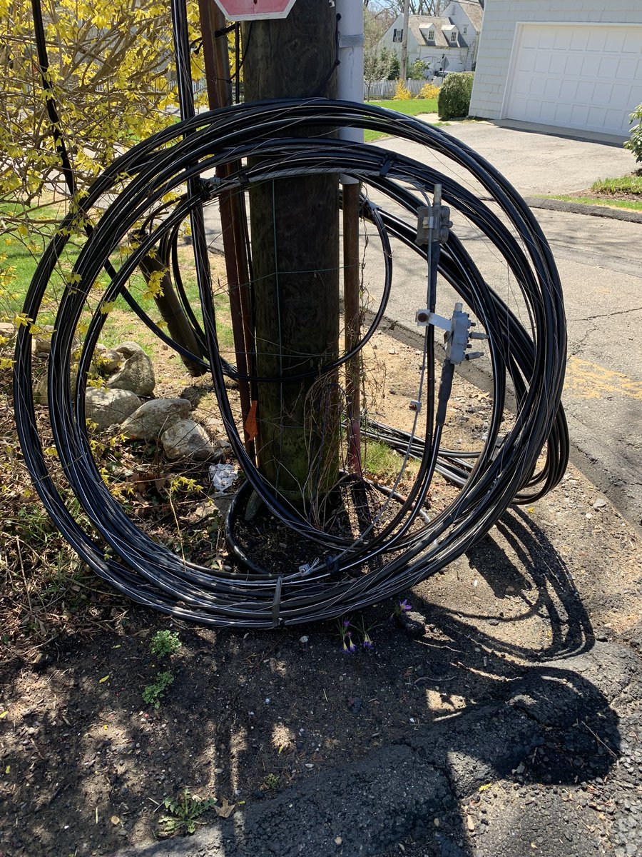 111 days with live @optimum wires at end of driveway in @CityofStamford  (supposedly the City That Works - although questionable after 111 days ). @OptimumHelp zero help. At least flowers blooming near wires.  @CarolineforCT https://t.co/MTe3KAnHnl