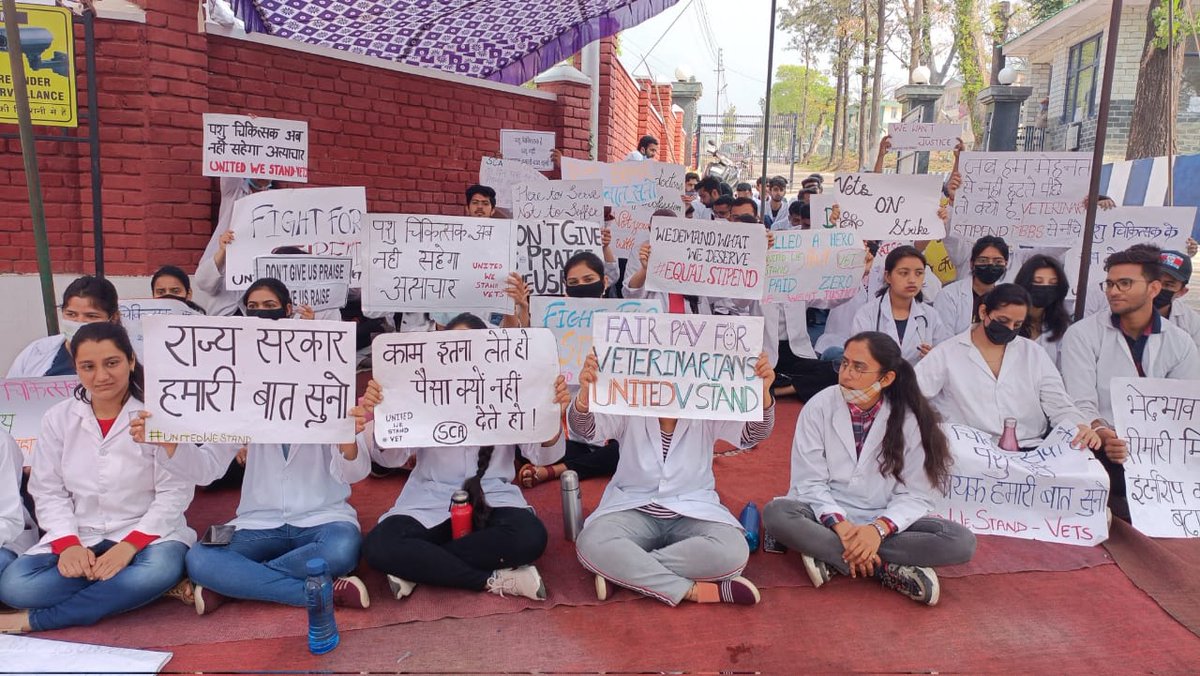 Drgcncovas's tweet photo. Strike #day15
#HP_Vet_Stipend 
#Increase_Vet_Stipend
@CMOFFICEHP
@virenderknwr
@jairamthakurbjp
@ProfHKChaudhary
@Dept_of_AHD
@drsanjeevbalyan
@CNNnews18
@News18Punjab
@Chirantan200 
@PRupala
@divyahimachal 
@AUHimachal
@Min_FAHD https://t.co/1IFdlSLgBD