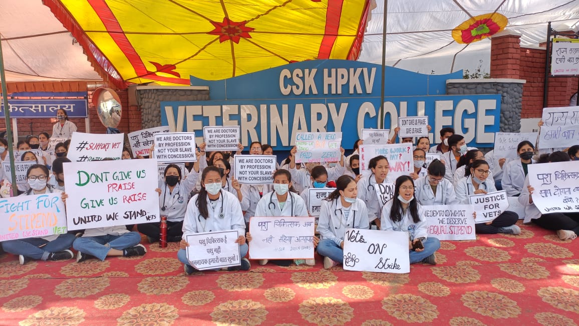 Drgcncovas's tweet photo. Strike #day15
#HP_Vet_Stipend 
#Increase_Vet_Stipend
@CMOFFICEHP
@virenderknwr
@jairamthakurbjp
@ProfHKChaudhary
@Dept_of_AHD
@drsanjeevbalyan
@CNNnews18
@News18Punjab
@Chirantan200 
@PRupala
@divyahimachal 
@AUHimachal
@Min_FAHD https://t.co/1IFdlSLgBD