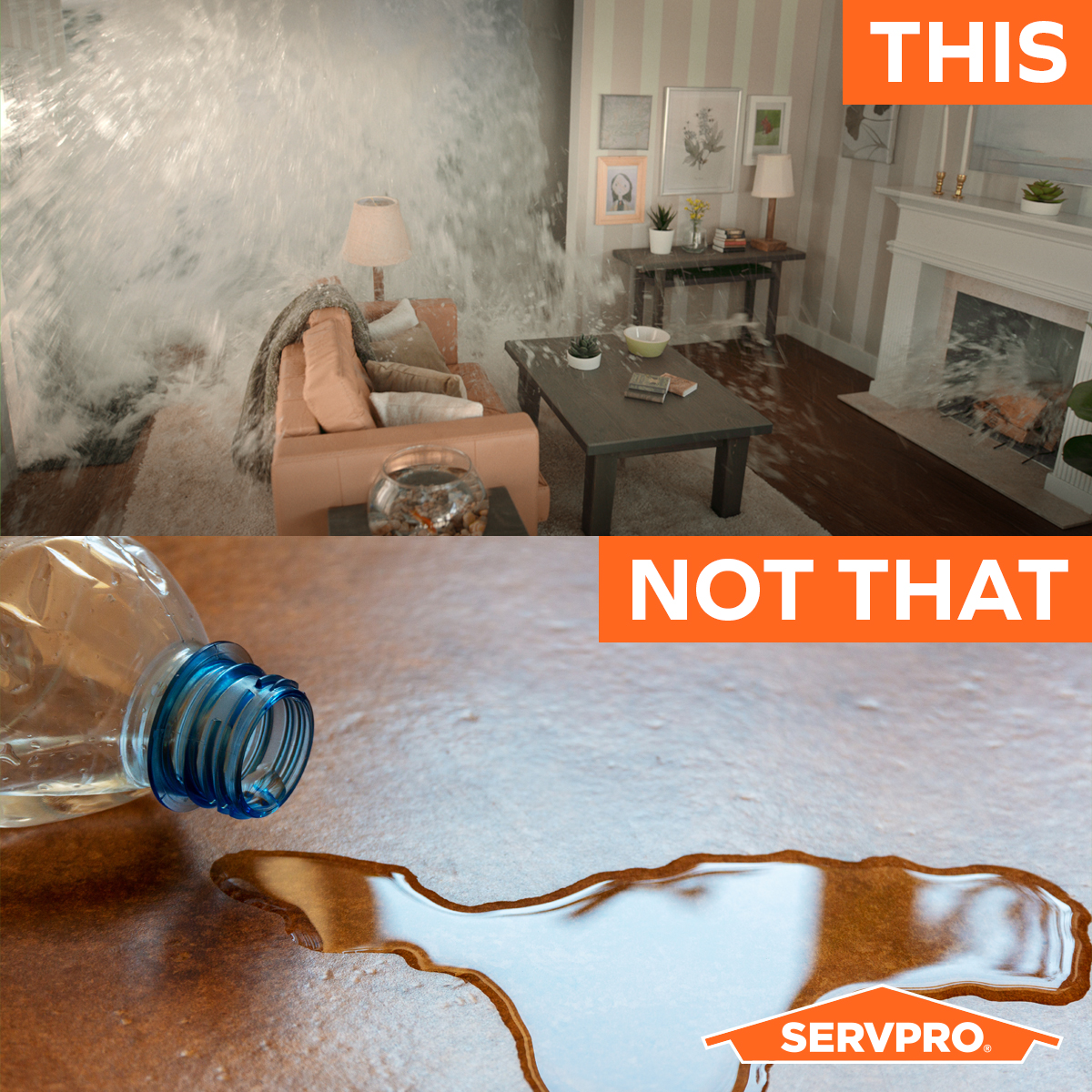 ServproPC's tweet image. Know when to PRO. Use us for…