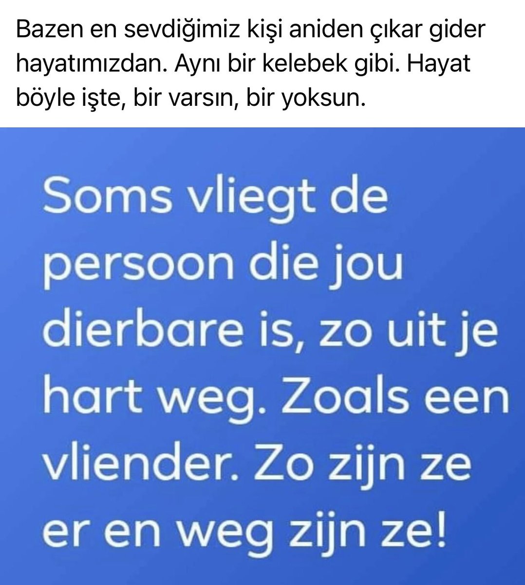 Kenan Aldemir (@kenanaldemir1) on Twitter photo 