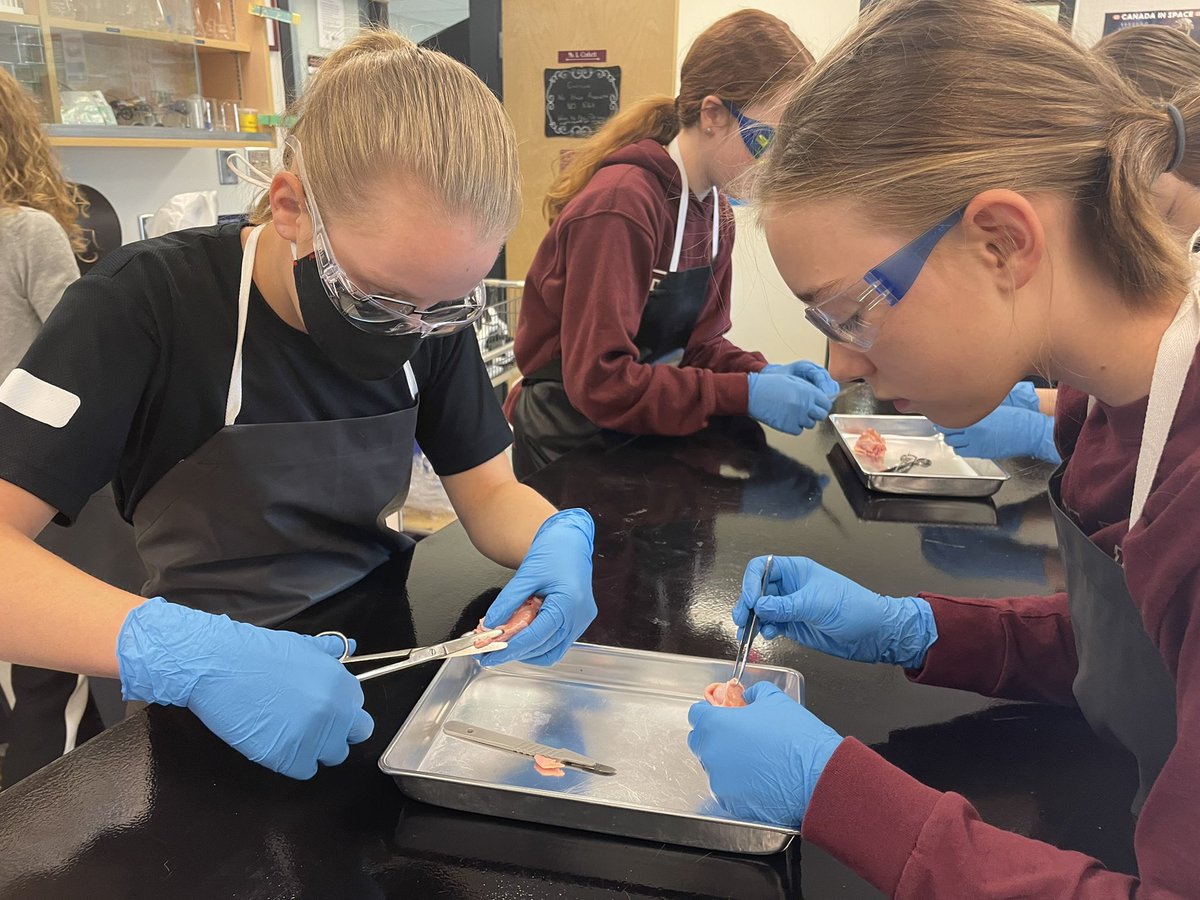 mslisacorbett's tweet photo. What do chicken wing and a human foot have in common? Let's find out! @OpenSciEd @RundleJrHigh #becurious #adventuresinSTEM https://t.co/hV8GtIW4ug