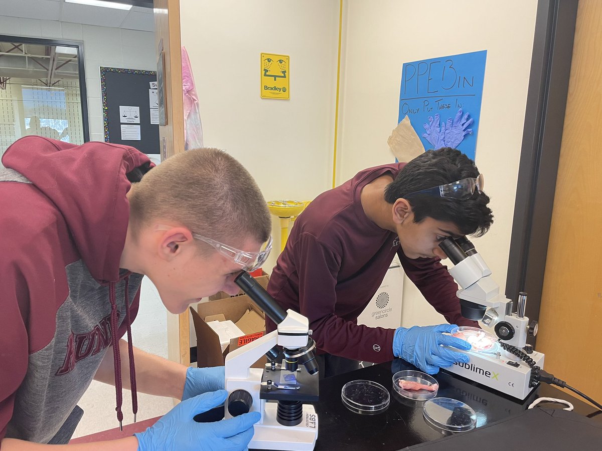mslisacorbett's tweet photo. What do chicken wing and a human foot have in common? Let's find out! @OpenSciEd @RundleJrHigh #becurious #adventuresinSTEM https://t.co/hV8GtIW4ug