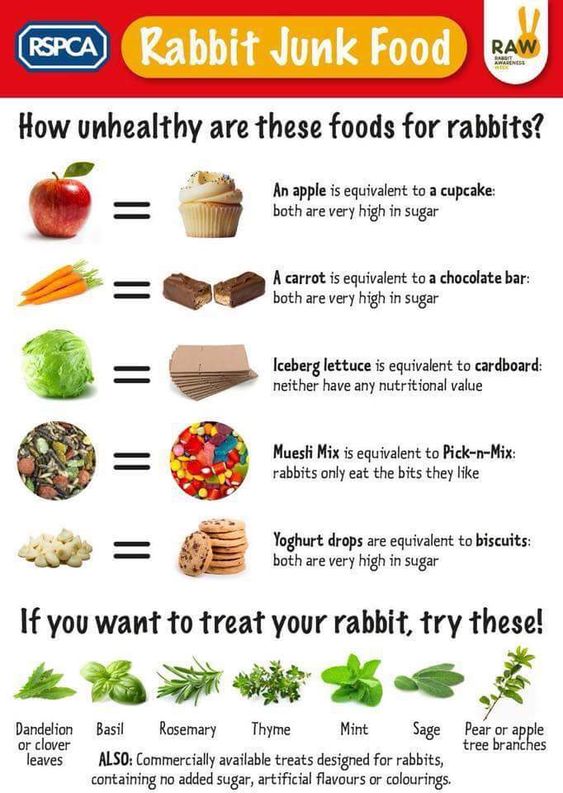 To all my #rabbit and #bunny owners out there, this chart gives you a good idea of what you are feeding your buns in terms of what we eat. It is fun to give them a treat, but just know how bad too much of it can be for them.