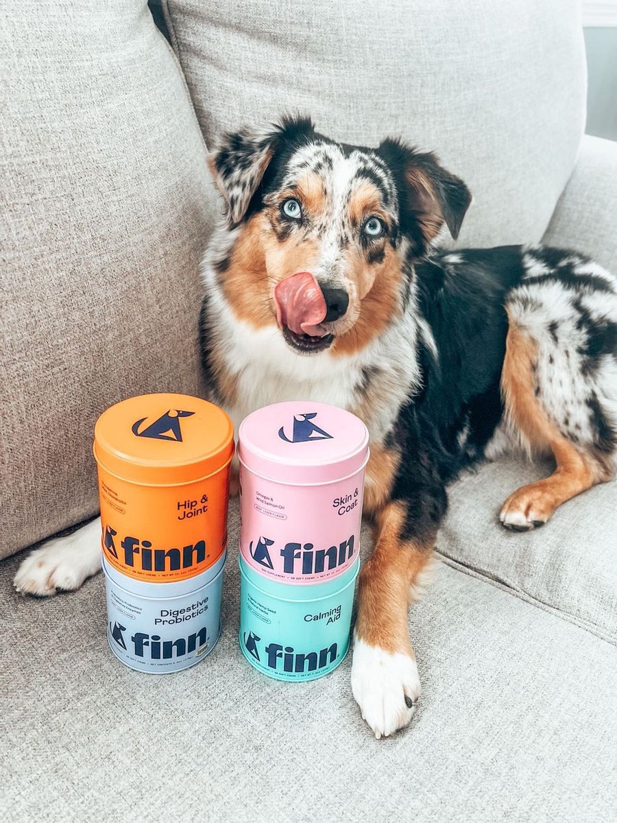 Happy Friday, furiends 🥳🧡 we’re feeling those cozy couch vibes this weekend 🐶 What are your plans??

#FinnForTheWin #weekendvibes #finallyfriday #dogsoftwitter #twitterdogcommunity #Friday