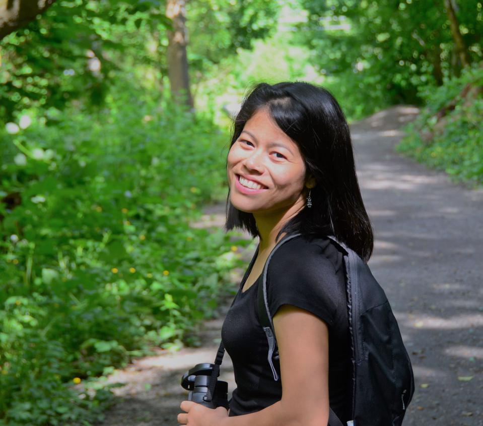 pioneer woman luggage clearance