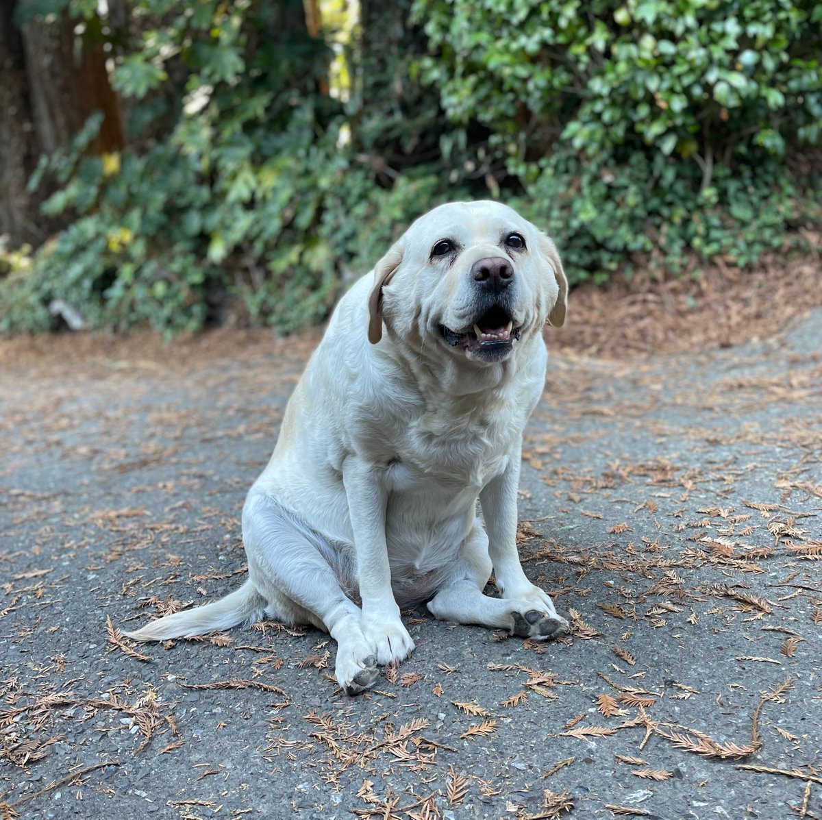 Happy Friday friends! Hope you’re as excited as Greta 😉 What’s on your playlist to get the weekend started? 👇💃🏻