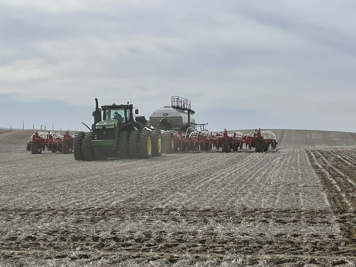 Mike Rublee tweet media