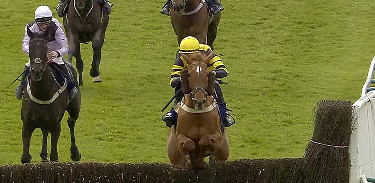 jamiesnowden's tweet photo. Delighted to notch our 46th #winner of the season today @FontwellPark where @tjobrien12 delivered an excellent ride on #LegendsRyde for @TonyPalk @WozzerP & Alex Rice. A lovely @GB_Bonus race too. #RecordBreakingSeason @BetVictor https://t.co/Q4chMO6VqN