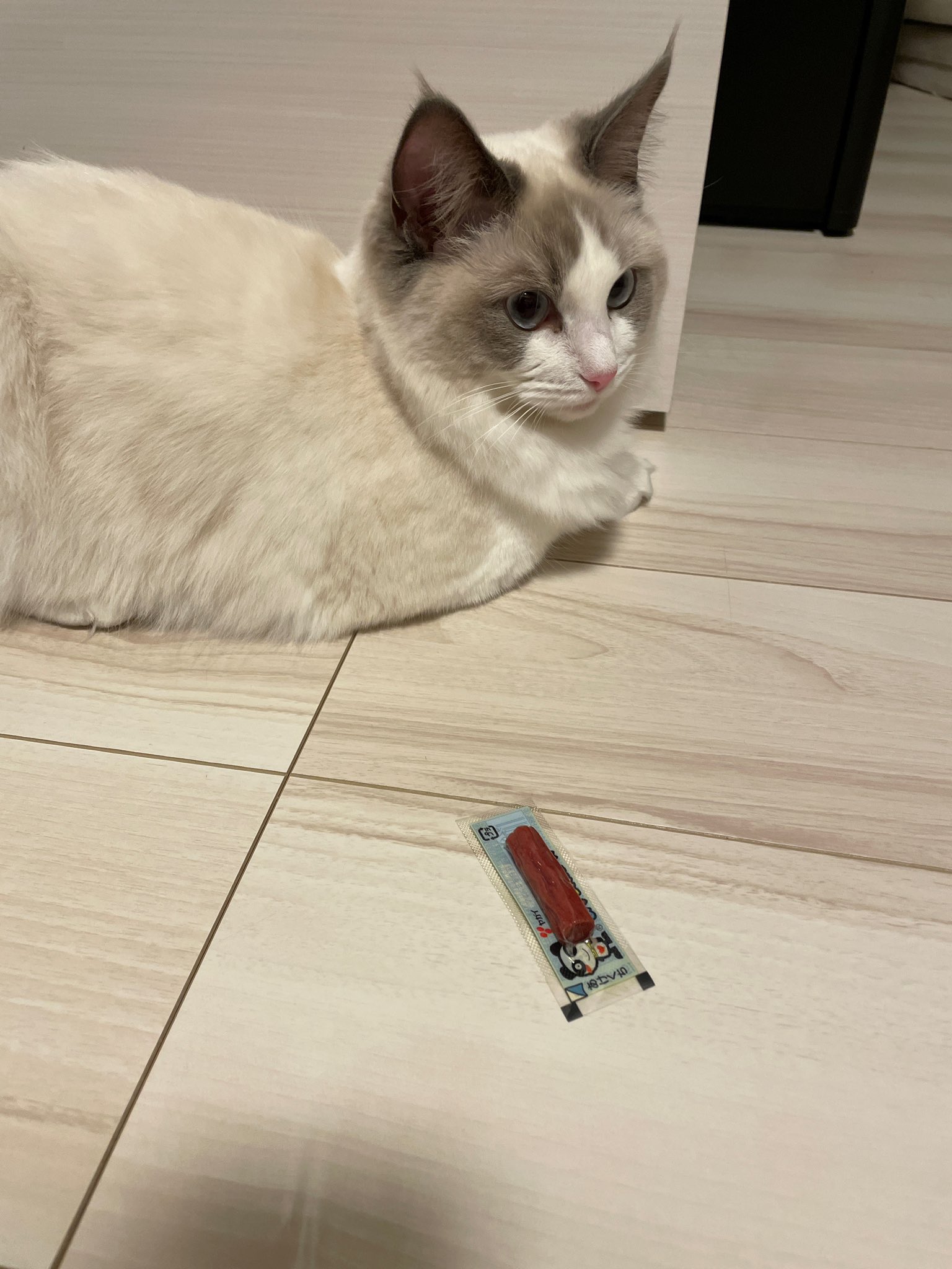 やすゆき 土西めab 隙あらばおやつカルパスをぱくっていくぅ T Co S9sfp0epbx Twitter
