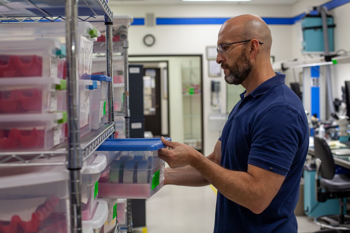 FUTEK Advanced Sensor Technology tweet media