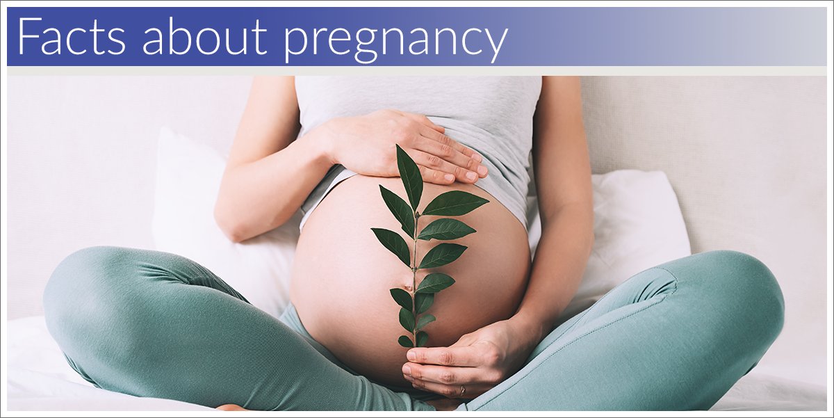 Interesting facts about pregnancy

full article: bit.ly/3xerBVn

#pregnancy #pregnant #motherhood #mother #childbirth #baby #biodermis #silicone #gel #scars