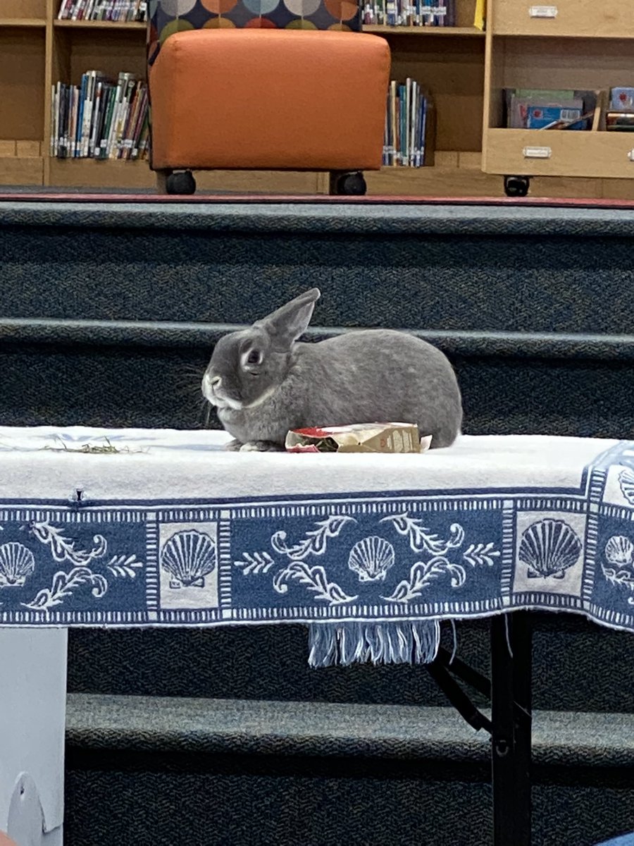 Always a great day when <a href="/pwc_wildlife/">Piedmont Wildlife Center</a> comes by with their awesome animals!

Our third graders saw a box turtle, red shouldered hawk, barred owl, corn snake, and rabbit! We even had the chance to touch a few of the animals! 😍

Thank you Ms. Noelle for the fantastic presentation!