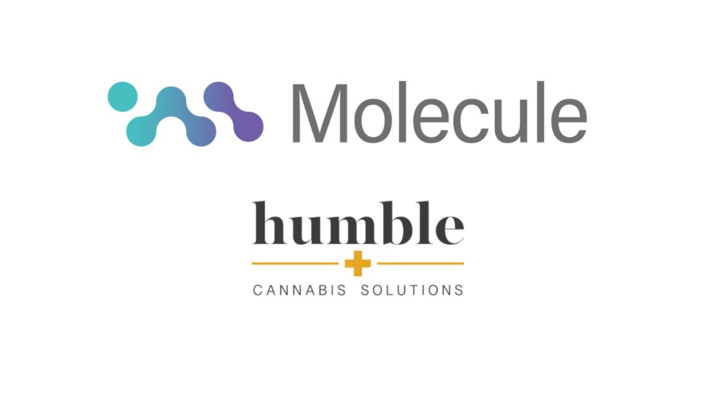 We are thrilled to embark on this partnership with <a href="/humbleandfume/">Humble & Fume Inc.</a>. Great week for Molecule. mailchi.mp/molecule/molec…