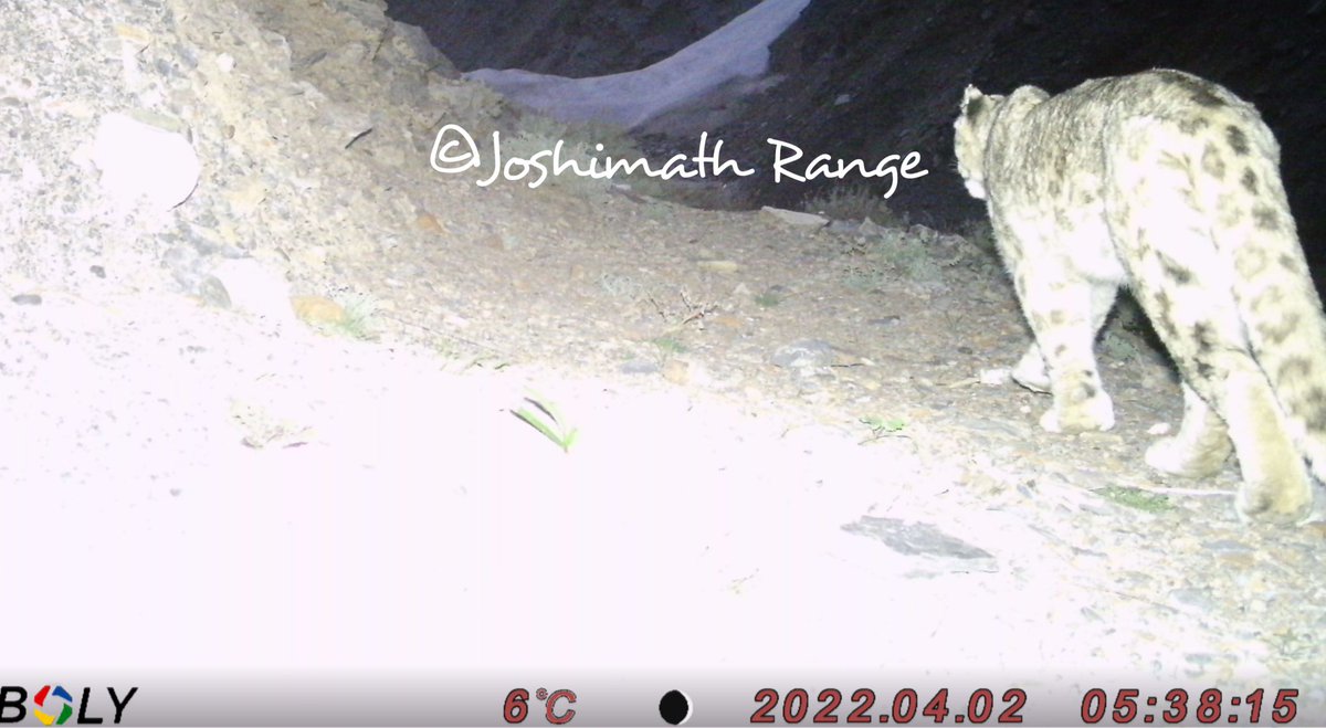 #LastTrap
#2ndApril2022
<a href="/gauravnegi410/">Gaurav Negi</a>