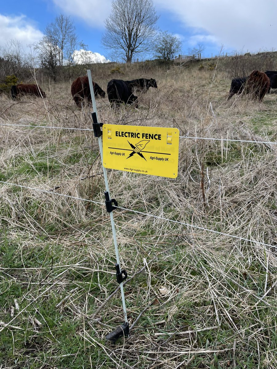 rewildingthesoil tweet media