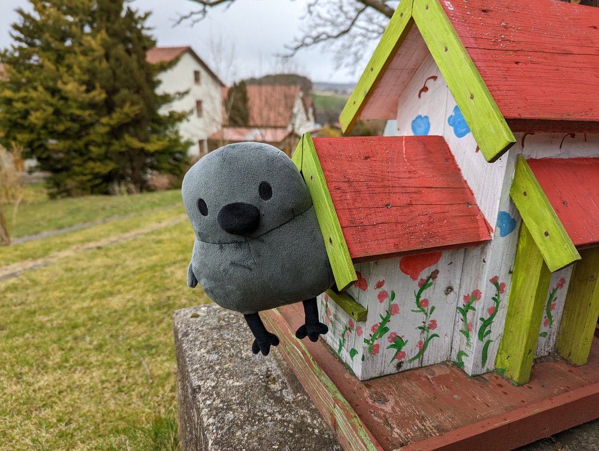 devine_cmd's tweet photo. Found this lil guy "peeking" out from the birdhouse @PointCrow #pcrowplush https://t.co/KiZ0KSnI5A