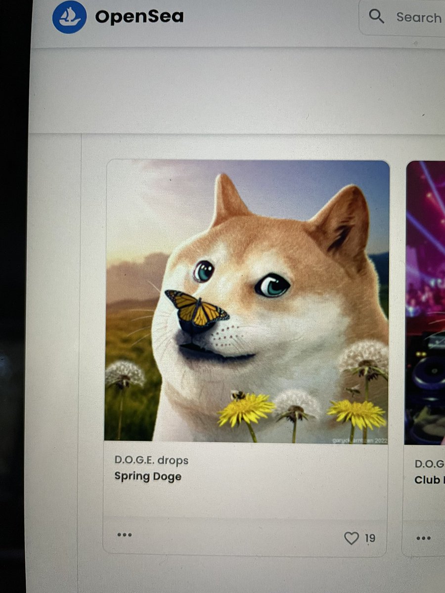 cyborro's tweet photo. @Damian93175854 @_mintydoge Well well… what do we have here mmmmm 🤩 thx boi! #springdoge https://t.co/EVJM6m1c2P