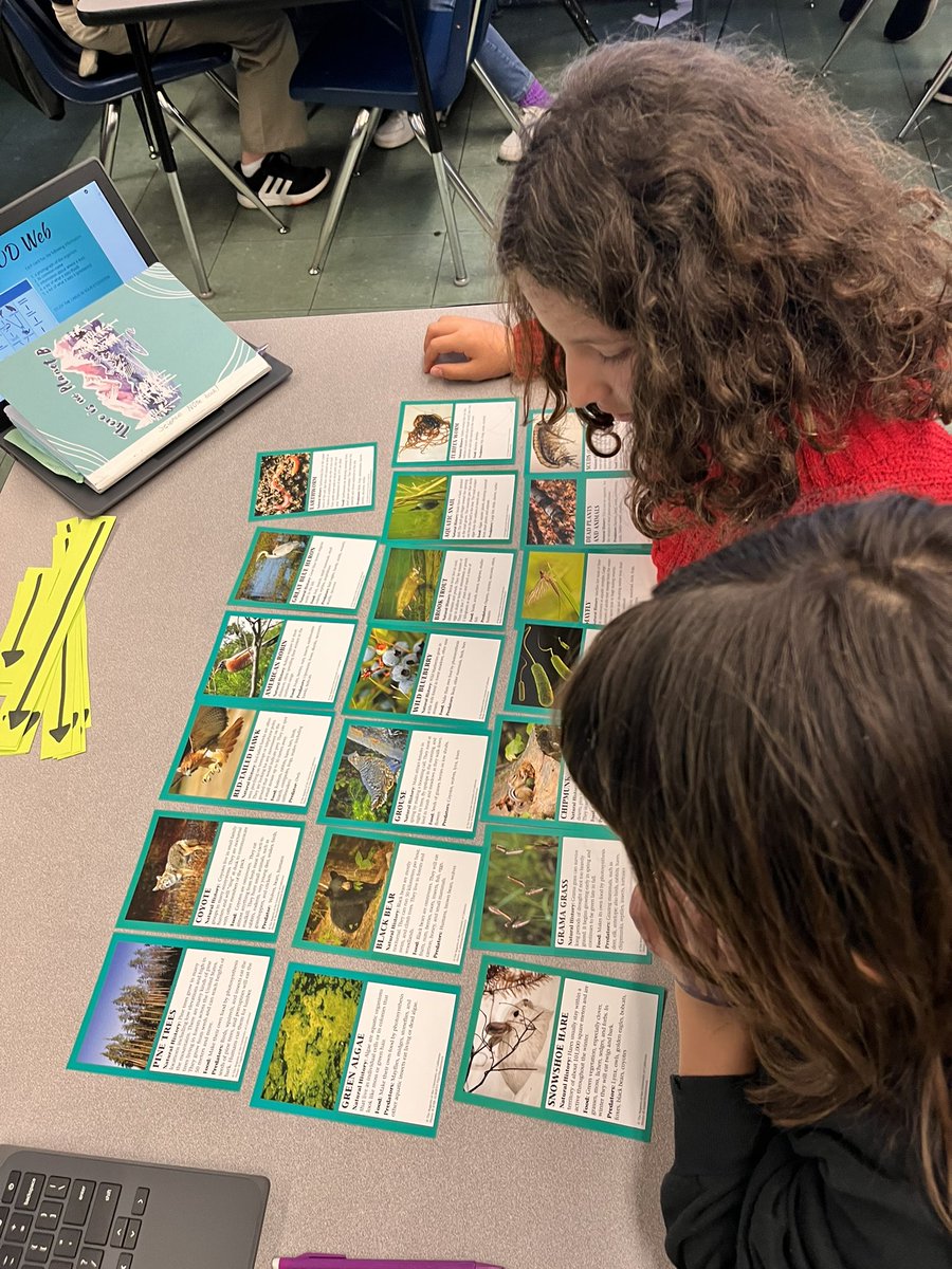 katscot's tweet photo. Describing the movement of matter and energy with food chains 🍀🐇🐆 #daretobeaBEAR https://t.co/JU2smzdjrO