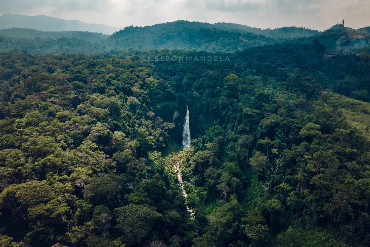 nelsonman11's tweet photo. La Chute de Tshibati dans le Parc National de Kahuzi Biega, Sud Kivu

#bukavuexplorer #bukavu #congo #drc #teampixel #googlepixel #travelafrique #travelafrica #perspective #cityview https://t.co/mKnknUQARy
