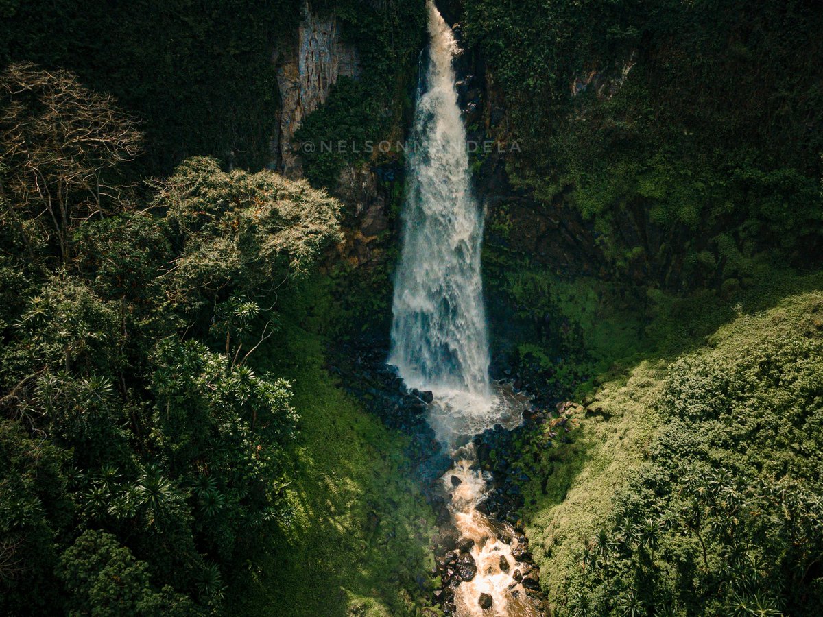 nelsonman11's tweet photo. La Chute de Tshibati dans le Parc National de Kahuzi Biega, Sud Kivu

#bukavuexplorer #bukavu #congo #drc #teampixel #googlepixel #travelafrique #travelafrica #perspective #cityview https://t.co/mKnknUQARy